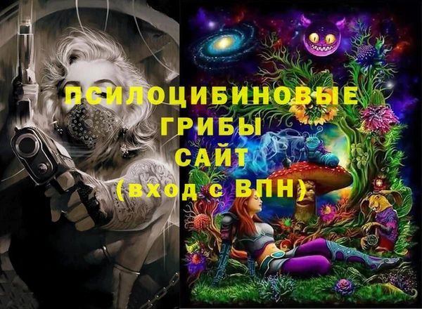 прущие грибы Верхнеуральск