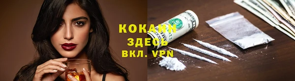 гидра Сосновый Бор