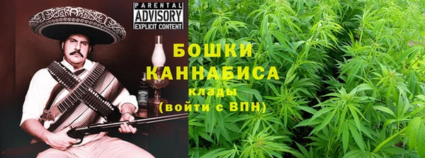 прущие грибы Верхнеуральск