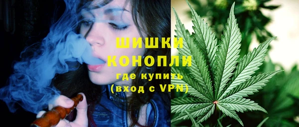 молекула духа Семилуки