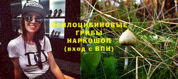 прущие грибы Верхнеуральск