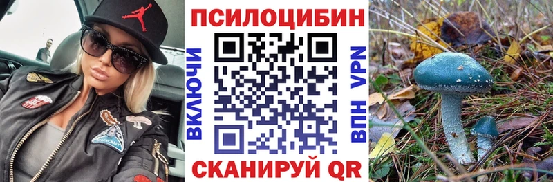 Псилоцибиновые грибы Psilocybine cubensis  Крым 